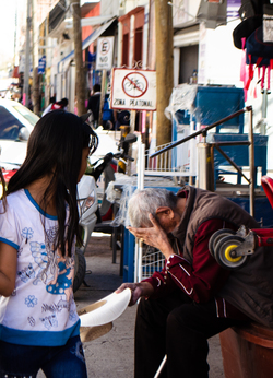 Ilustración de ratones y corteza prefrontal implicada en empatía y estrés